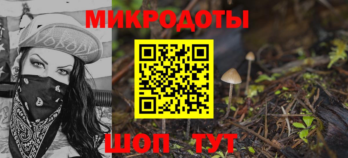Псилоцибиновые грибы мицелий Ковров