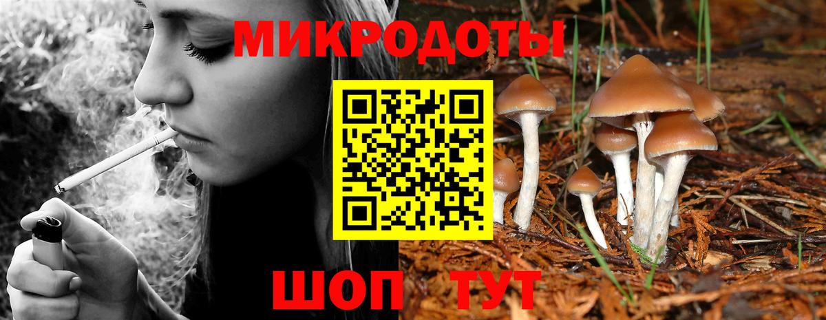 Ковров  где купить наркоту  Вход с VPN  Псилоцибиновые грибы GOLDEN TEACHER 